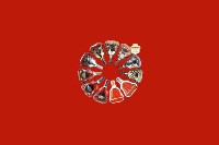 六安市金安区回收红酒